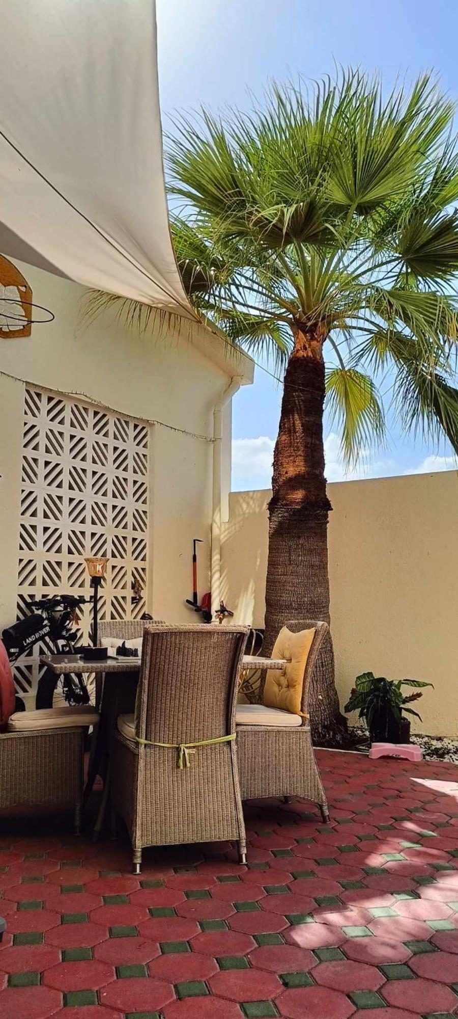 Jumeirah Beach Villa Dubai Bagian luar foto